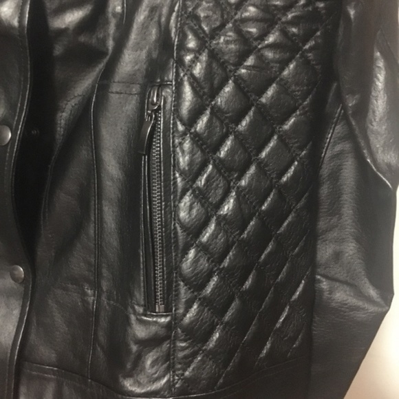 NWT quilted Moto leather Jacket - Picture 5 of 8
